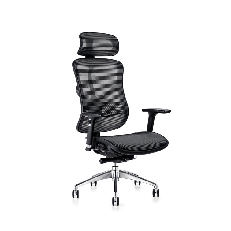 Hood Seating Ergonomic Mesh Desk Chair Wayfair.co.uk